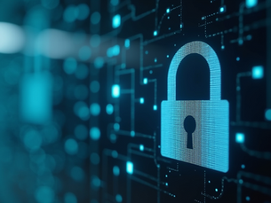 Key Elements Every Privacy Policy Should Include