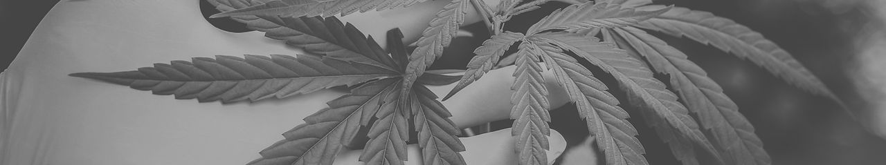pexels-aphiwat-chuangchoem-2178565_edited.jpg