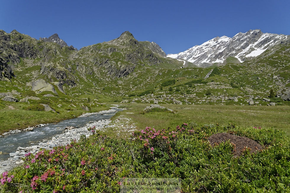 Les lacs du Petit