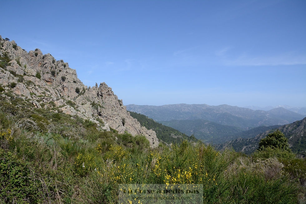 Bocca di Foce