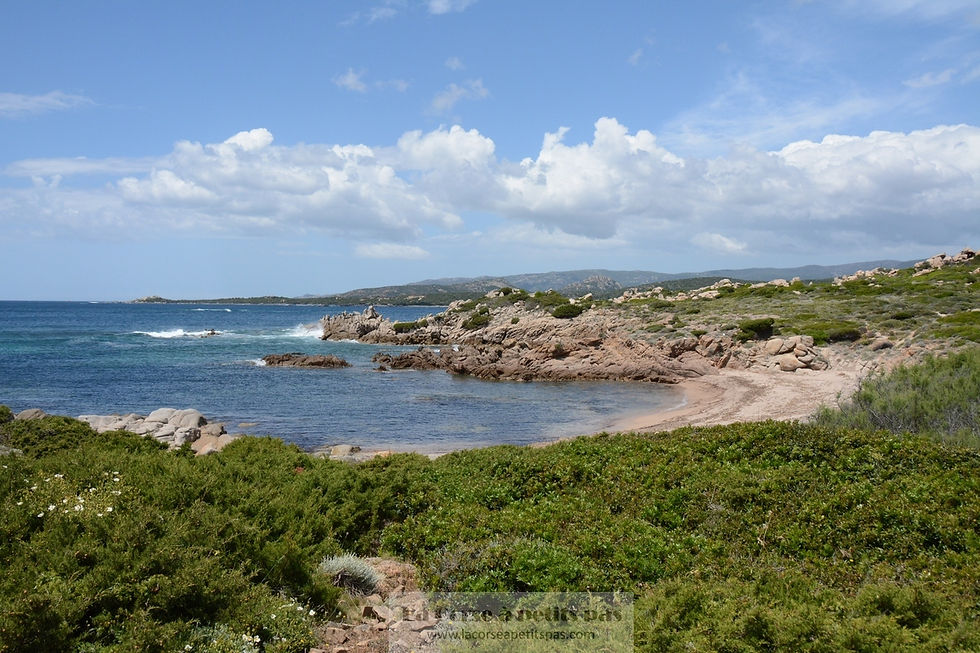 Punta di Ventilegne