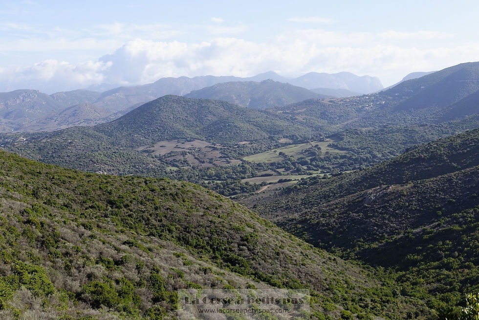 Sentier de Bomba