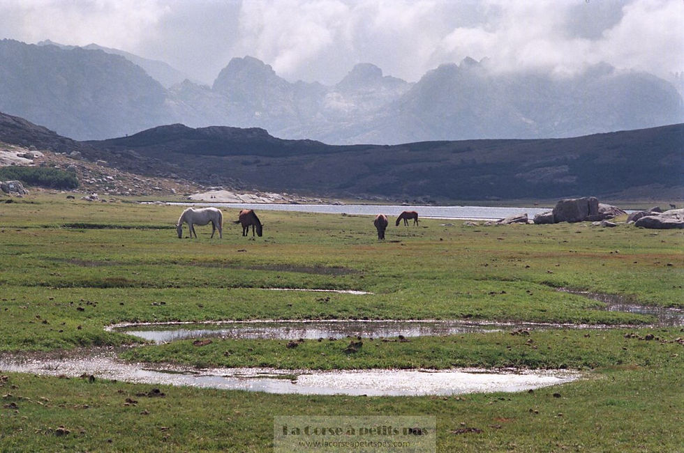 Lac de Nino par Poppaghja