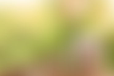 Como atrair a energia de prosperidade