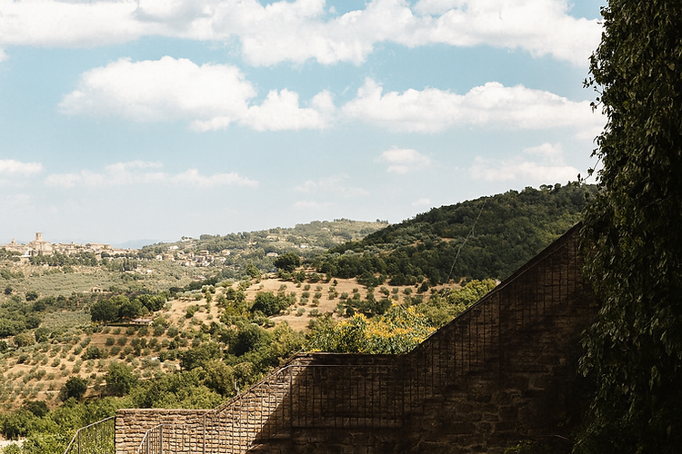 4194bad0-1af8-4efe-81df-5281ce75cfc5 (1).png