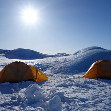 A Slice of Life on the Ice