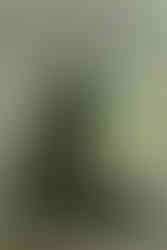 My friend Emma came down and took some promo shots for me