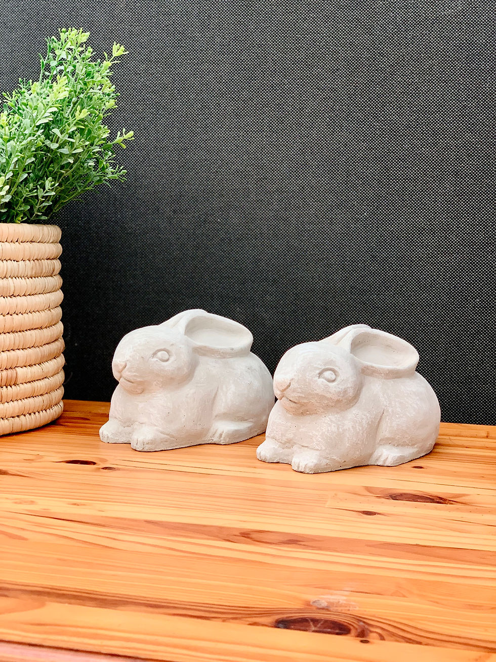 Thumbnail: Cement Bunny