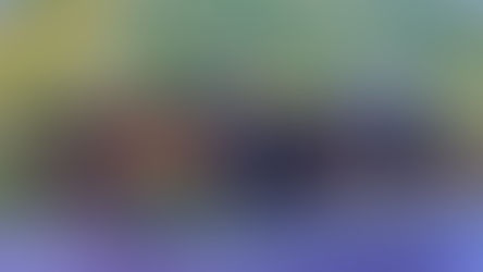 The Nugget Restaurant