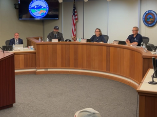 Public speaks against Council member Susie Baugh