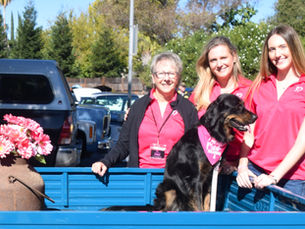 Community Car Show Raises Funds for Local Breast Cancer Support