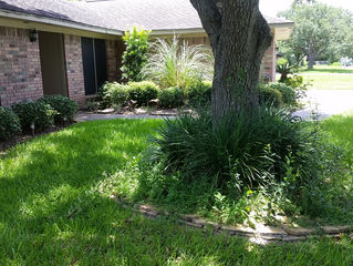 Landscape Rejuvination