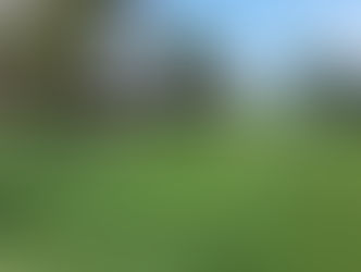 It's more than just mowing a lawn