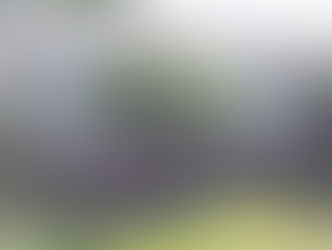 Landscape rejuvenation in Seadrift, Tx