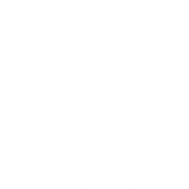 dragon simple-white (1).png