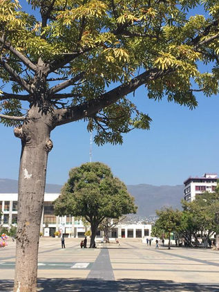 Pronostican fin de semana caluroso para Chiapas