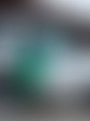 Inmigrante hondureño muere tras ser atropellado por Patrulla Fronteriza