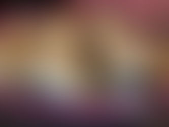 Gastronomía mexicana para todas las especies