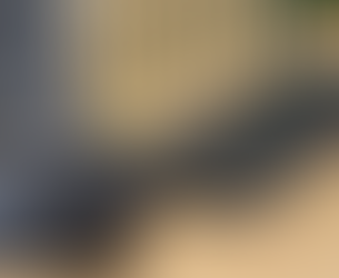 Focus sur la souris verticale X-PER 70 de chez Ergo Expert