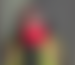 Snow Removal Company Red Flags