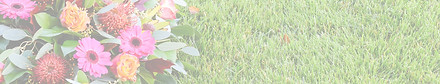 AdobeStock_273600168_edited.jpg