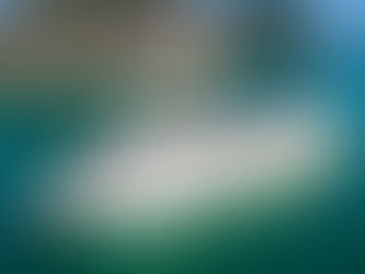 【首席雅儷號 Elegance】天堂號郵輪      下龍灣郵輪推薦，唯一元首級航程，優雅登場！