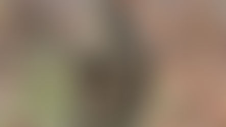 Pitchfork Systems Commando Smock