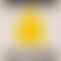 Afvalkalender Brugge: al meer dan 50.000 euro verspild. Chaos, kosten en communicatieproblemen stapelen zich op. 