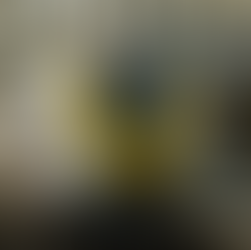 Ik sta schouder aan schouder met het team van Alstom Brugge