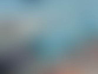 Jasper Pillen (Anders): “Na de Antwerpse aankondiging van premier Bart De Wever moet ook snel de toezegging komen dat ook Zeebrugge prioritair zal beschermd worden met luchtafweergeschut”