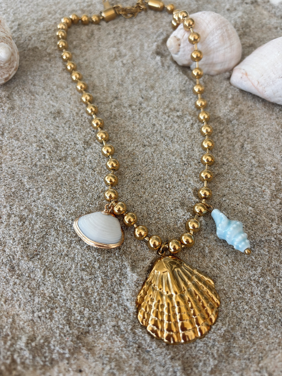 Shells Necklace