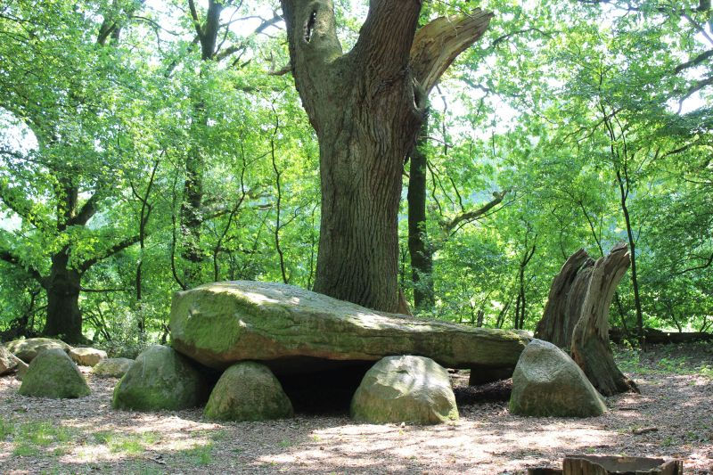 Heidenopfertisch in Visbek-Engelmannsbäke Foto: Dorgelo/Landkreis Vechta