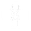 ant