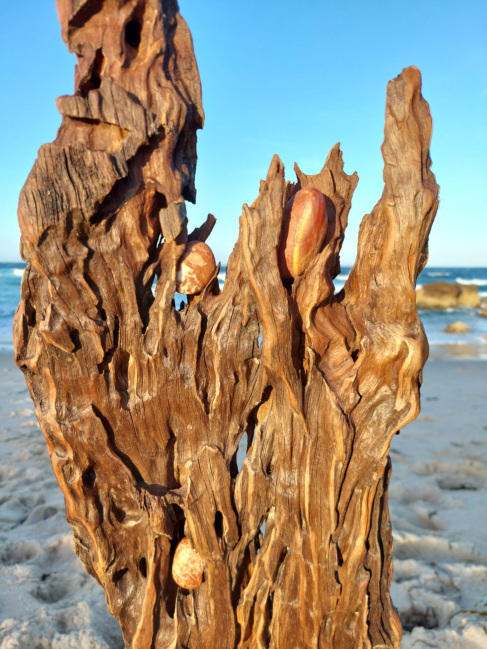 Thumbnail: Saltwater Flame