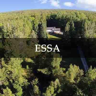 Essa