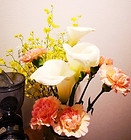 20190309_124103.jpg