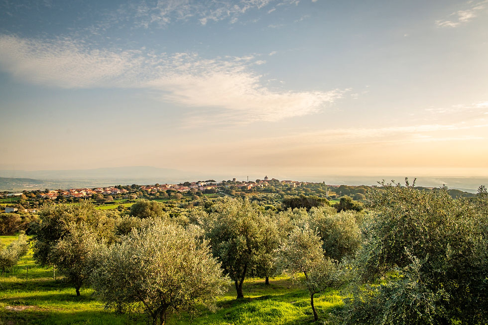 azienda salaris-20