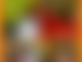 Priscilla's Preparatory School Before Hurricane Melissa.