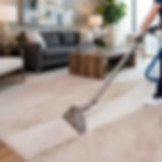 Professional carpet cleaning, clean strip.