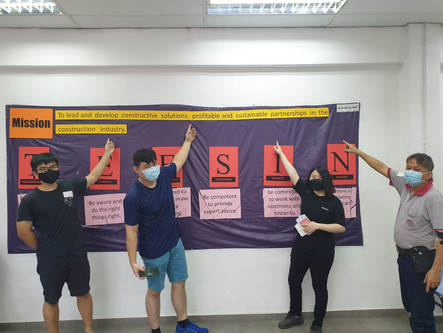 Teesin Mission Statement.jpeg