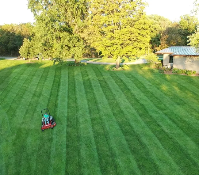 Blade Runners Lawn care