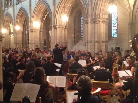 Christchurch Cathederal, 2014