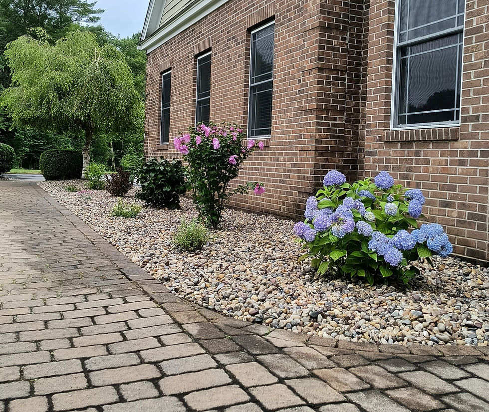 WhatsApp Image 2025-12-14 at 5.16_edited.jpg