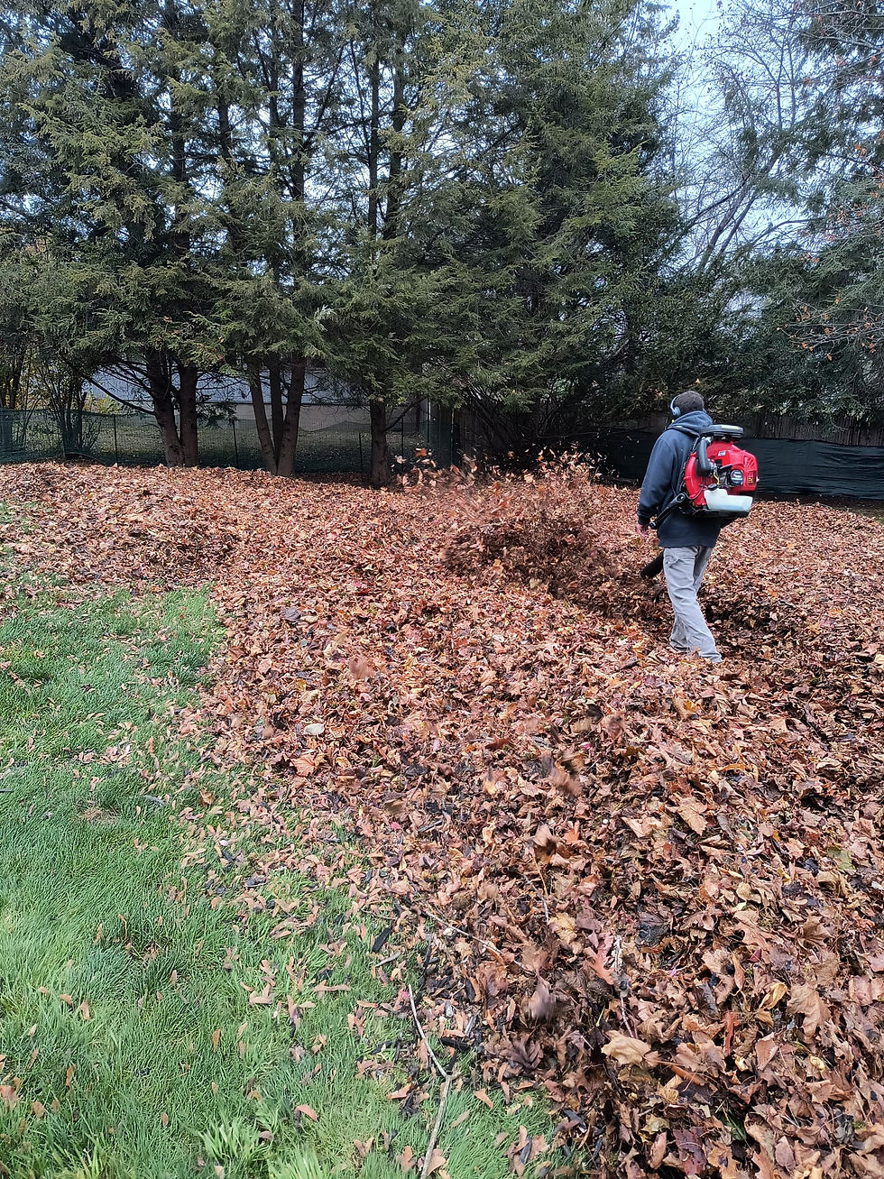 WhatsApp Image 2025-12-14 at 4.26.40 PM.jpeg