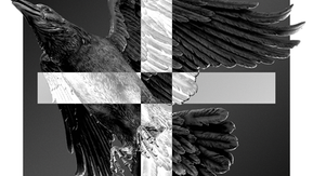 Single Review: J:Dead - Feeling Alone