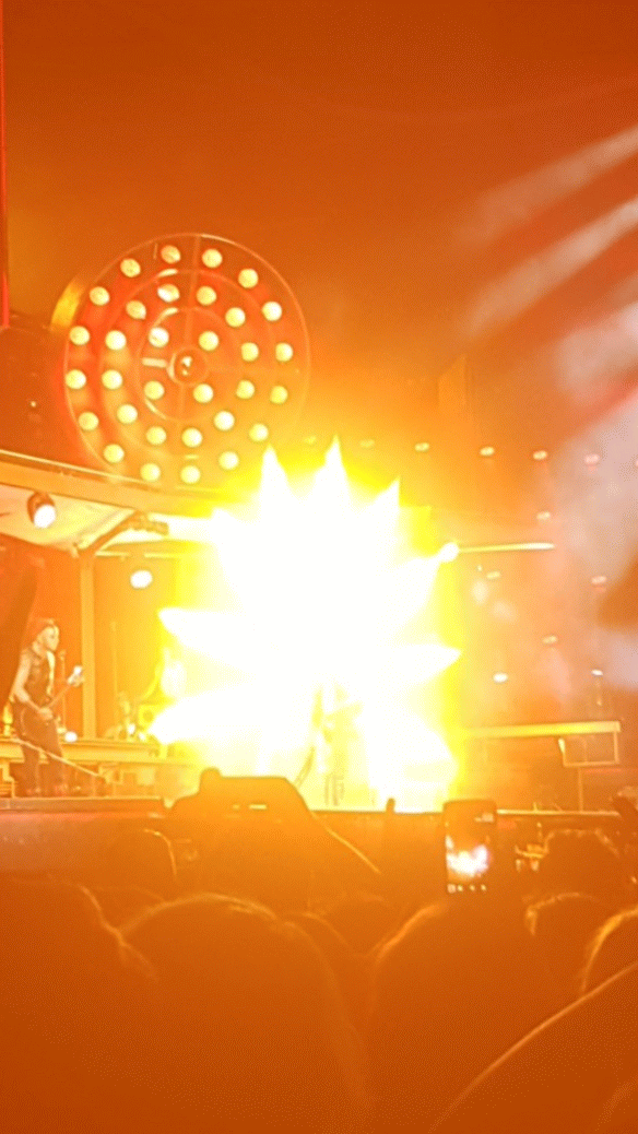 Rammstein. Elektro Vox
