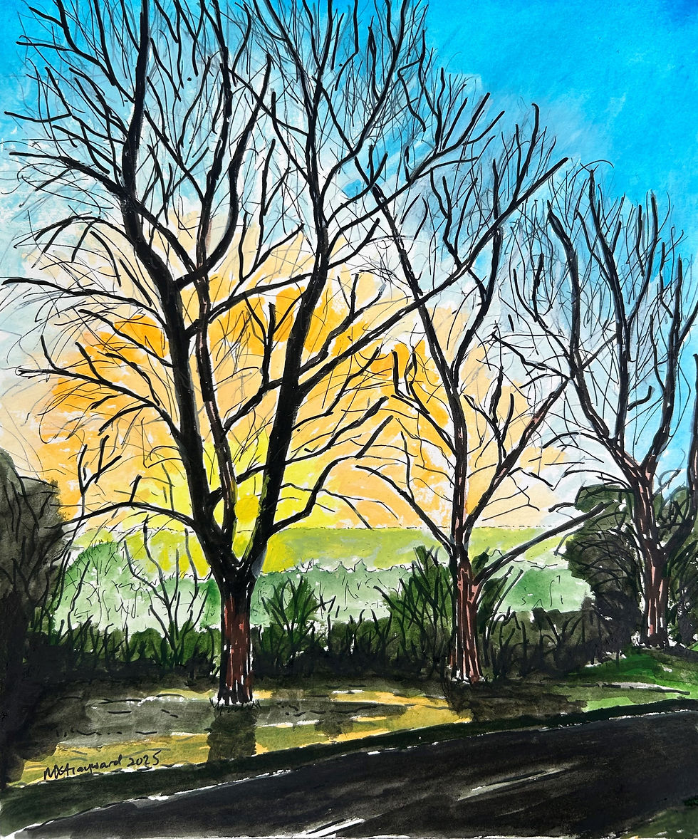 Three trees against sunrise in winter