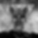 Baphomet Co -$3