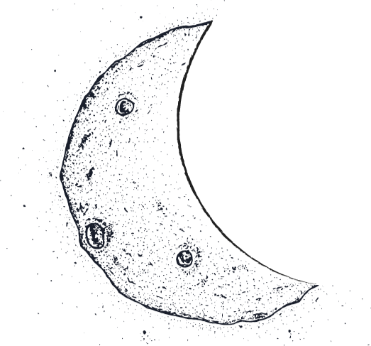 halm-moon-sketch_edited.png