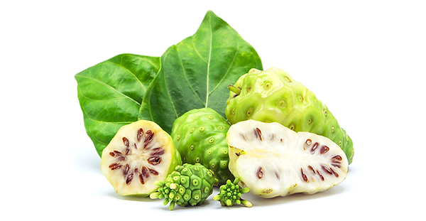 Nonostante i suoi numerosi benefici, il Noni è difficile da consumare nella sua forma naturale a causa della sua buccia dura, dell'aroma unico e del sapore sgradevole. Di conseguenza, il Noni è comunemente consumato in varie forme, come in polvere, che si ottiene dopo aver macinato il Noni essiccato, o in forma di pillola. Può anche essere consumato come liquido dopo averlo spremuto o lavorato.  ​  La spremitura a freddo riduce il rischio di degradazione delle vitamine e degli antiossidanti, garantendo così un prodotto di qualità superiore.  Quando si sceglie un integratore a base di Noni, è consigliabile controllare l'etichetta per verificare la provenienza delle materie prime e il metodo di produzione. Optare per marchi affidabili, che forniscono trasparenza nelle loro pratiche produttive e risultati di test di laboratorio indipendenti, può fare la differenza nell’efficacia del prodotto.  Inoltre, è utile considerare le proprie esigenze individuali e consultare un professionista dell
